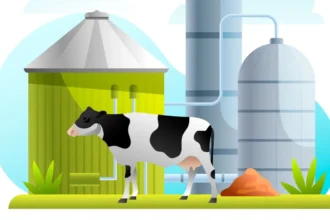 Biogas