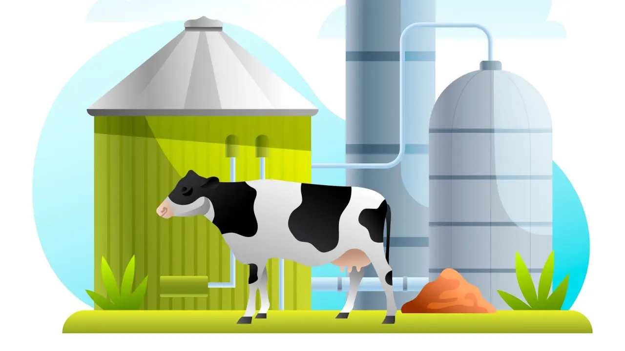 Biogas