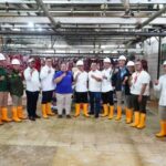 Asosiasi Pedagang Daging Indonesia Apdi