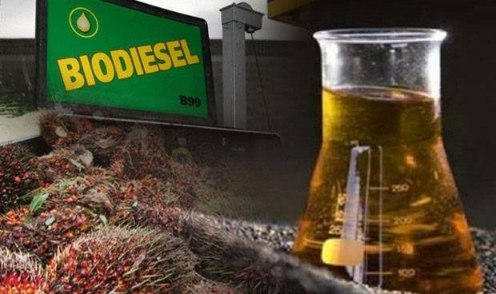 Biodiesel B50